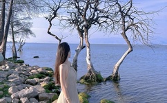 上瘾网络剧全集种子